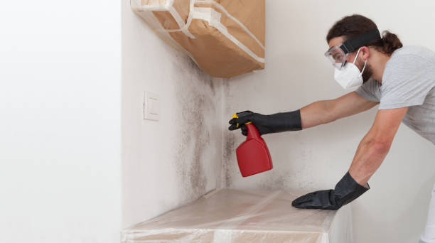 Professional Mold Inspection And Testing technician working in Rougemont, NC